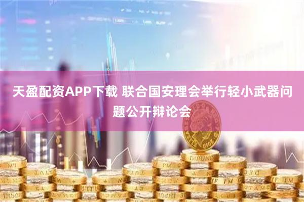 天盈配资APP下载 联合国安理会举行轻小武器问题公开辩论会