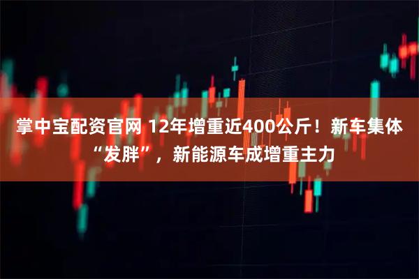 掌中宝配资官网 12年增重近400公斤！新车集体 “发胖”，新能源车成增重主力